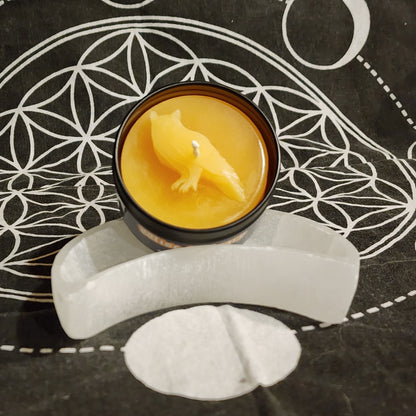 Wise Library Candle