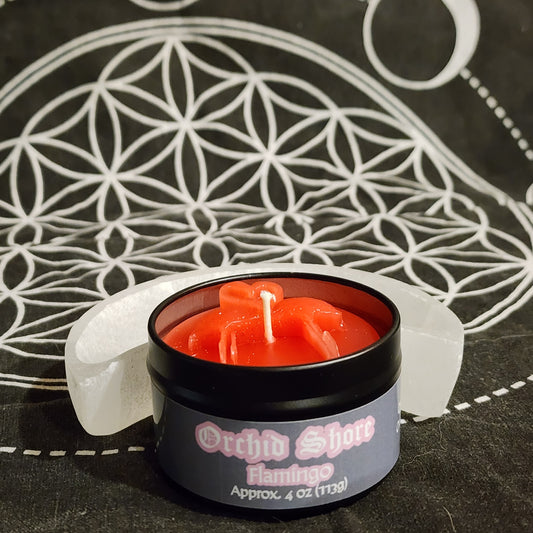 Orchid Shore Candle